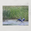 Search for n a postcards Blue