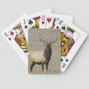 Recherche de taureau jeux de cartes Wapiti