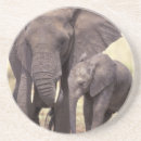 Recherche de habitat dessous de verres Nature