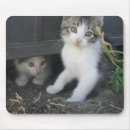 Search for farms mousepads Nature