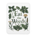 Search for sustainable magnets Eco friendly