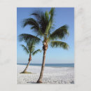 Recherche de sel cartes postales Arbres