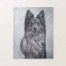 Search for collie puzzles Canine