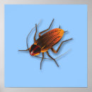 Search for cockroach posters Roaches