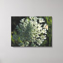 Recherche de reine arts art Daughter