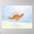 Search for ocean animals posters Cute