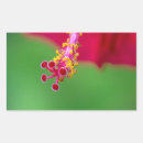 Search for hibiscus rectangle stickers Floral