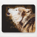 Recherche de loup tapis souris Faune