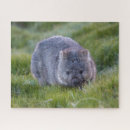Search for wombat puzzles Australia