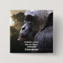 Recherche de chimpanzé badges Primates