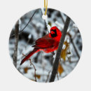 Recherche de cardinal ornements Beau