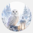 Search for snowy owl stickers Winter wonderland