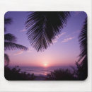 Search for west palm electronics Caribbean