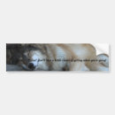 Search for sleep bumper stickers Animals