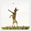 Search for vitality stickers Outdoors