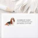 Search for basset return address labels Dogs
