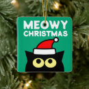 Search for cat lover ornaments Fun