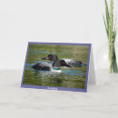 Search for loon cards Canada