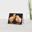 Recherche de oiseaux vœux cartes Animal de compagnie