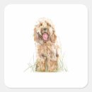 Search for cockapoo stickers Birthday