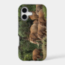 Search for tusks iphone cases Trunk