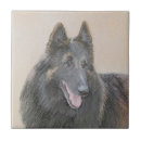 Search for belgian tiles Dog