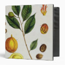 Search for curious binders Botanical