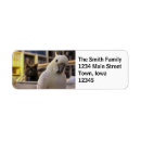 Search for cockatoo return address labels Bird