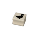 Search for cute rubber duck Animals