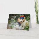 Search for scarf Pet
