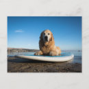 Search for boarding postcards Sea