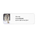 Search for grey wolf return address labels Wildlife