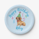 Search for dachshund paper plates Puppy