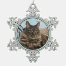 Search for tabby ornaments Animals