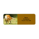Search for texan return address labels Usa