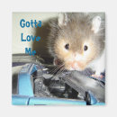 Recherche de nounours magnets Amour