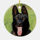 Search for black german shepherd ornaments Puppy