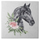 Recherche de beau cheval carreaux Sauvage