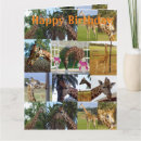 Recherche de giraffe birthday cards Animal