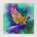 Recherche de de perroquet puzzles Tropical
