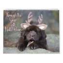 Search for year calendars Photography