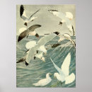 Search for seagull posters Seascape