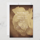 Search for white rose bridal shower invitations Simple