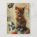Recherche de joli chat cartes postales Chatte