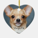 Recherche de chihuahua christmas decor Dog