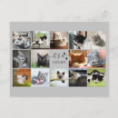 Recherche de pattes de chat cartes postales Animaux domestiques