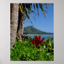 Search for diamond head posters Honolulu