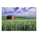 Search for field day posters Countryside