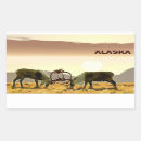 Search for tundra stickers Alaska