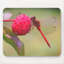 Search for red bug mousepads Wildlife